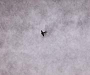 bomber 1