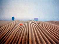 ploughed field
