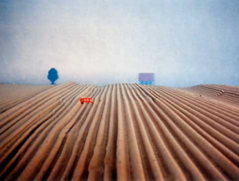 ploughed field